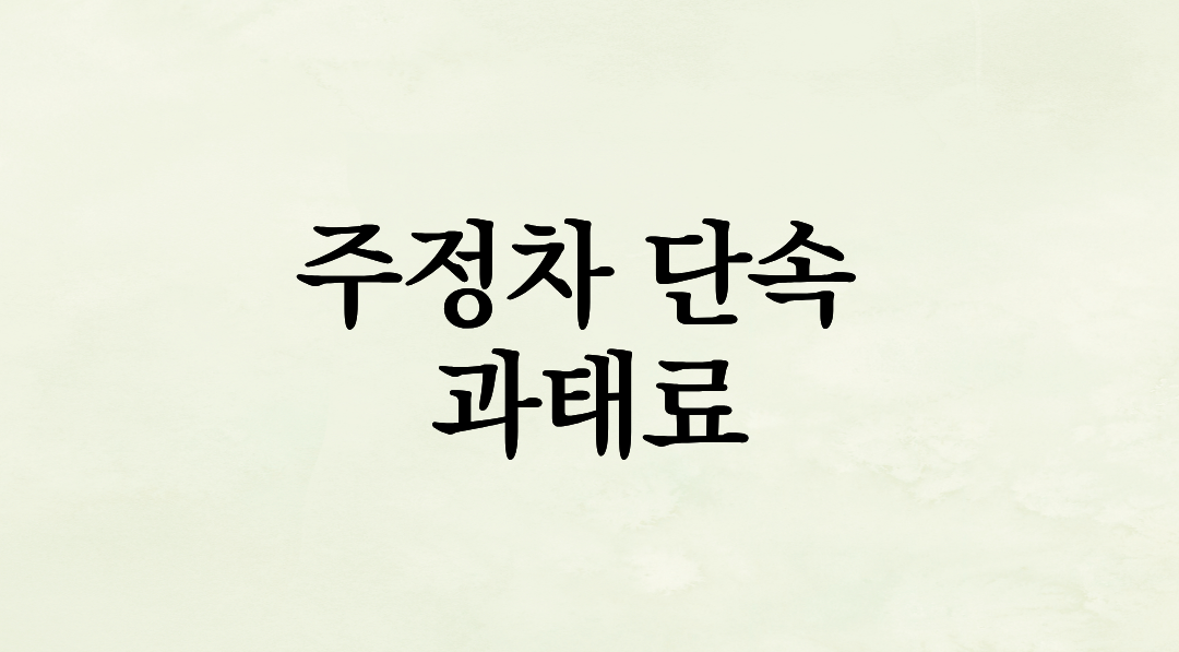 주정차 단속 과태료, ‘이 문자’ 하나면 4만 원 아낄 수 있습니다 (무료 신청법)