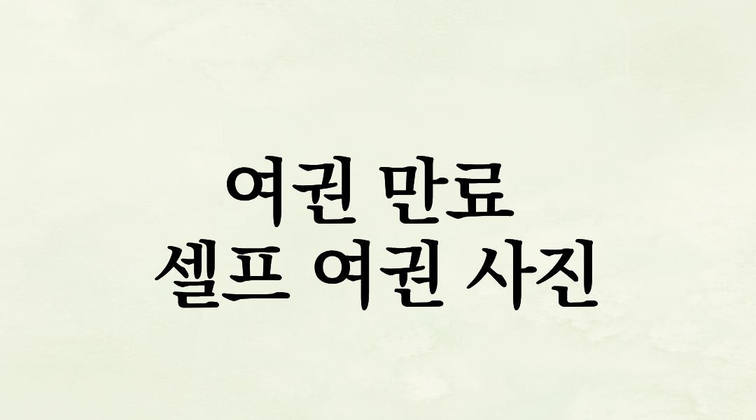 여권 만료 코앞인데 사진관 갈 시간 없다면? 어플 하나로 집에서 셀프 여권 사진 해결한 후기 (feat. Siranet)