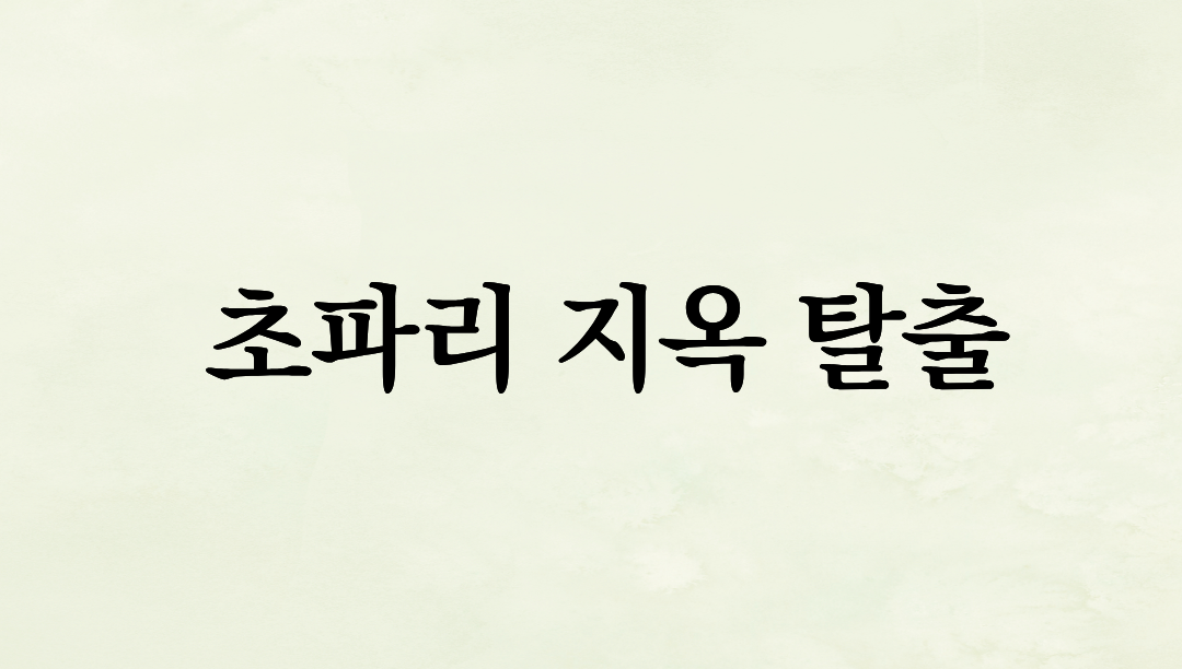 여름철 초파리 지옥 탈출!