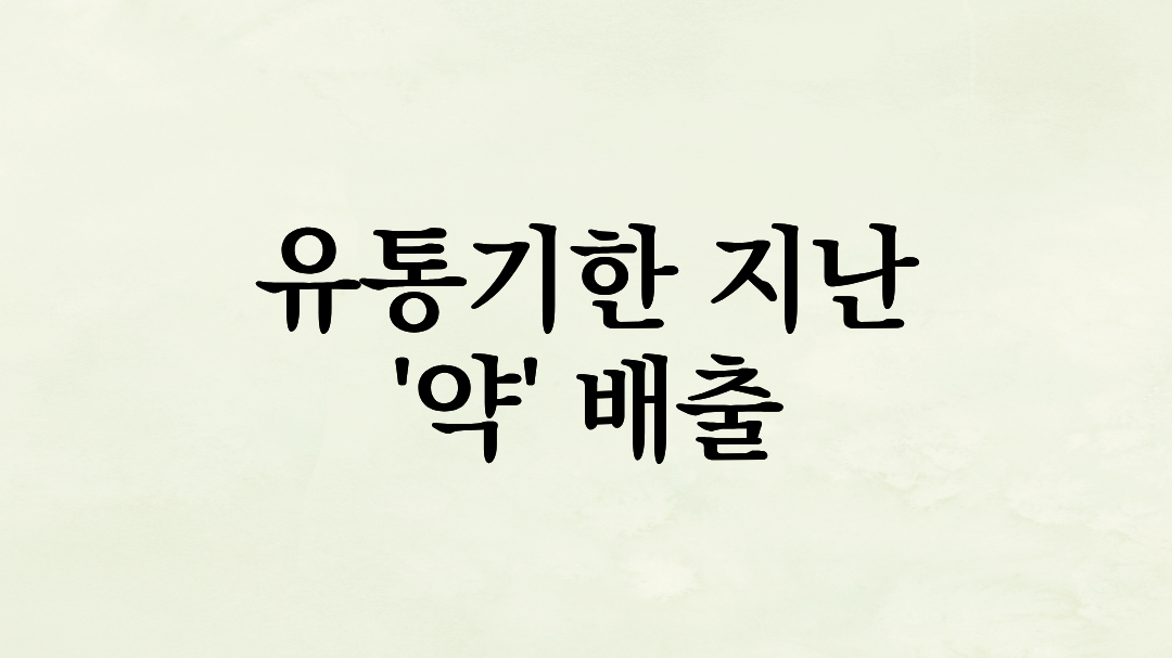 유통기한 지난 약, 쓰레기통에 버리려다 멈칫했다면? 환경 살리고 돈도 버는 스마트한 배출 꿀팁