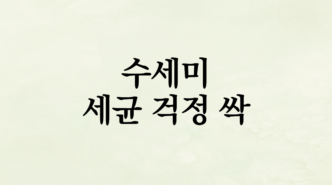 매일 쓰는 수세미가 변기보다 더럽다? 세균 걱정 싹 날리는 1분 살균법 및 교체 주기