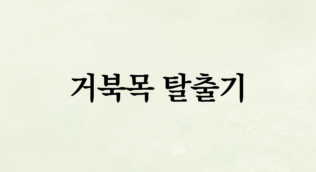거북목 탈출기: 직접 효과 본 모니터 높이 세팅과 0원 스트레칭법