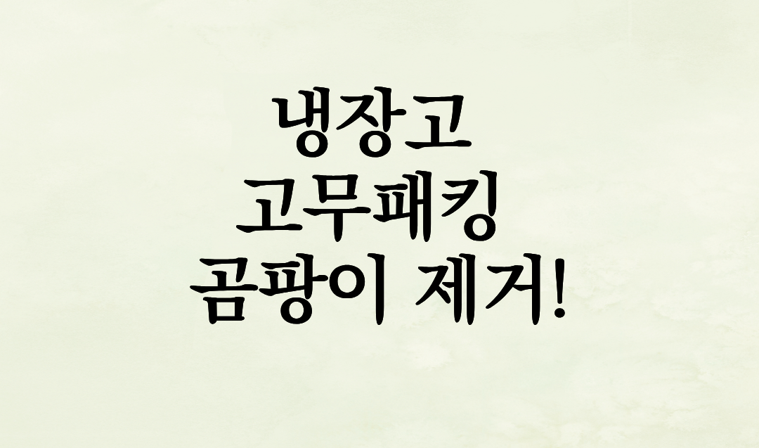 냉장고 고무패킹 곰팡이 제거! 소주와 치약으로 1분 만에 끝내는 살균 비법
